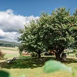 Zur Weinlaube