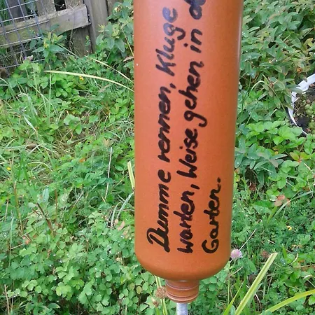 Zur Weinlaube *