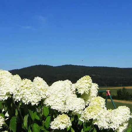 Zur Weinlaube